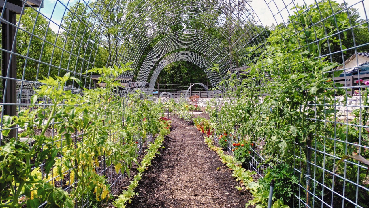 Photo of Others in Balsam Grove