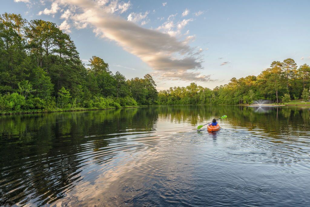 Photo of Others in Spring Hill