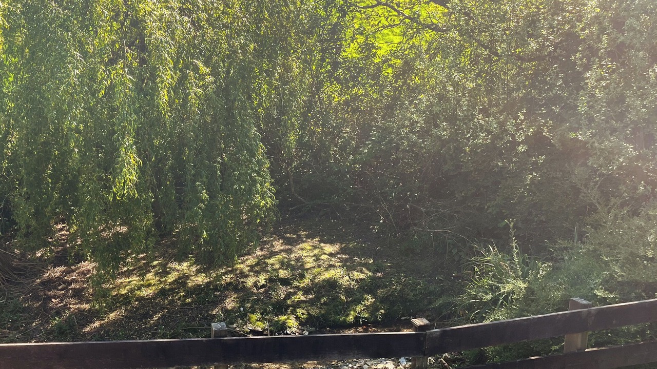 Photo of Outdoor in Little Petherick