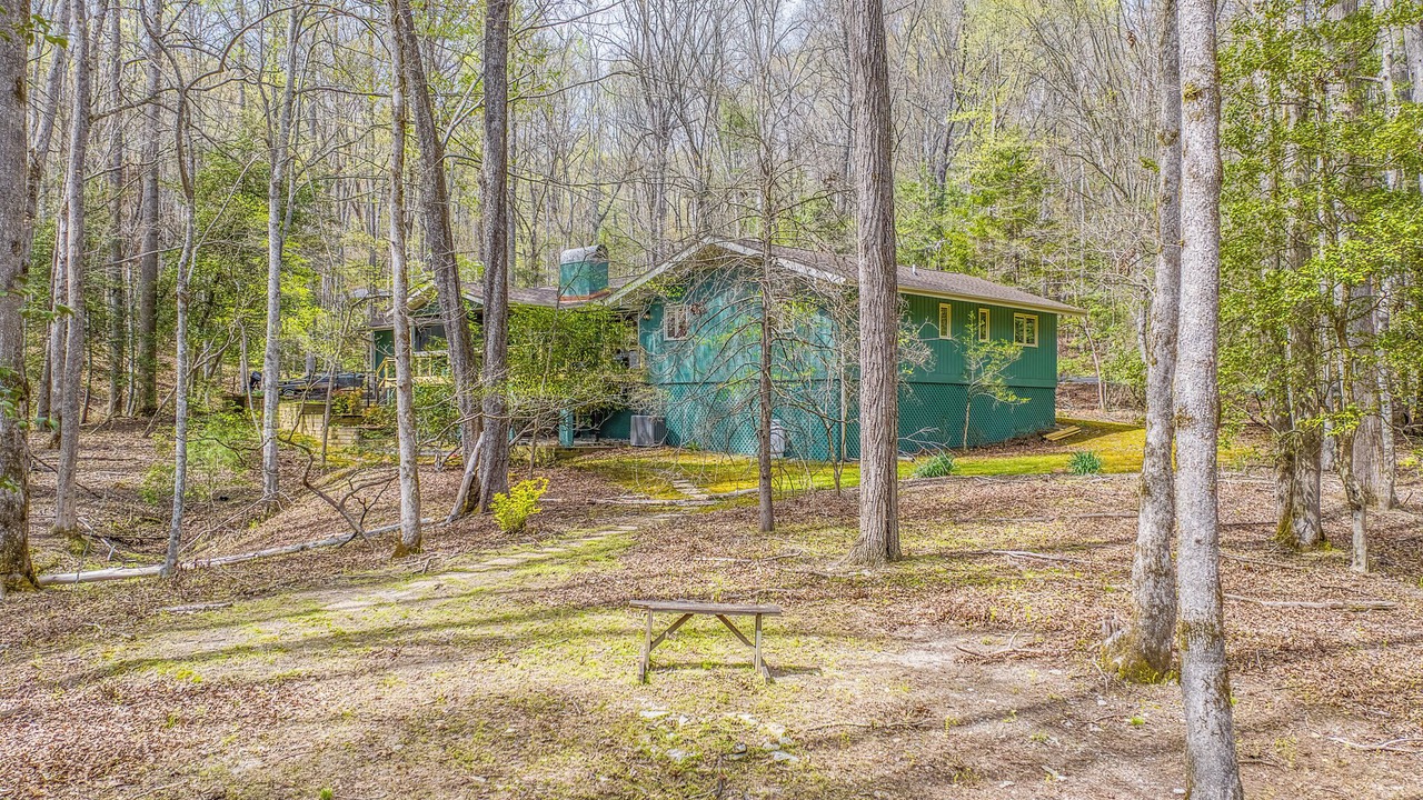 Photo of Outdoor in Pisgah Forest