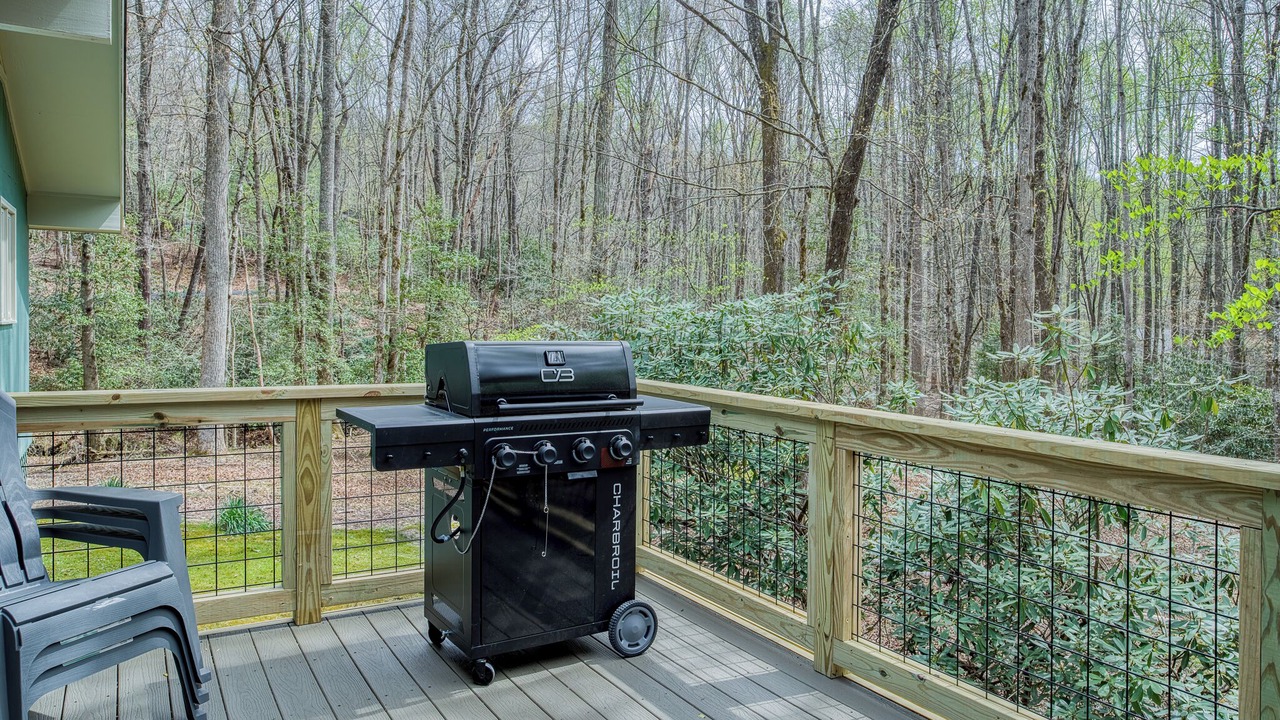 Photo of Others in Pisgah Forest
