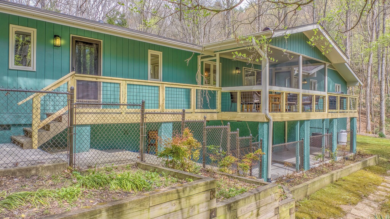Photo of Outdoor in Pisgah Forest
