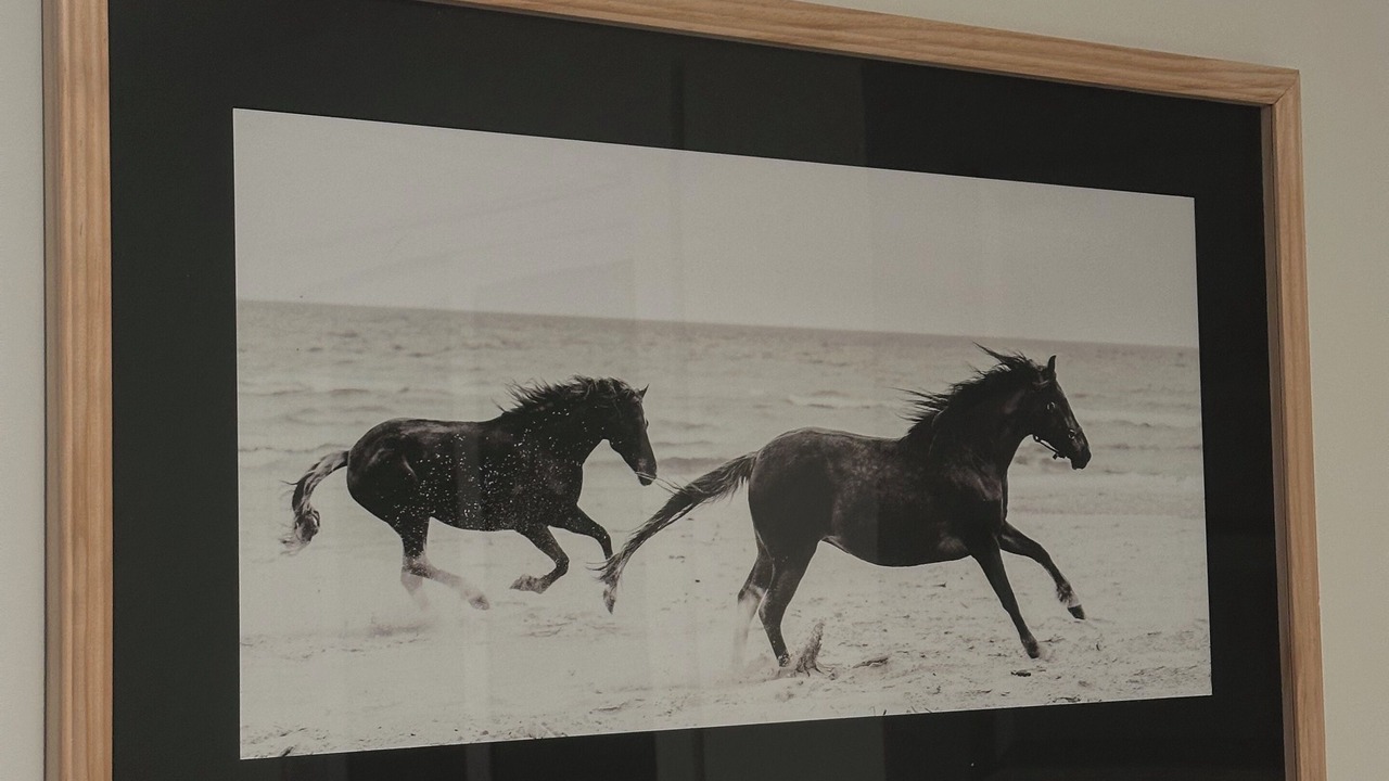 Photo of Others in Carthage
