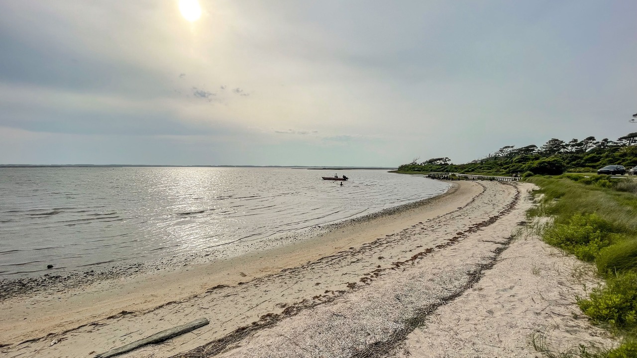 Photo of Others in Beaufort