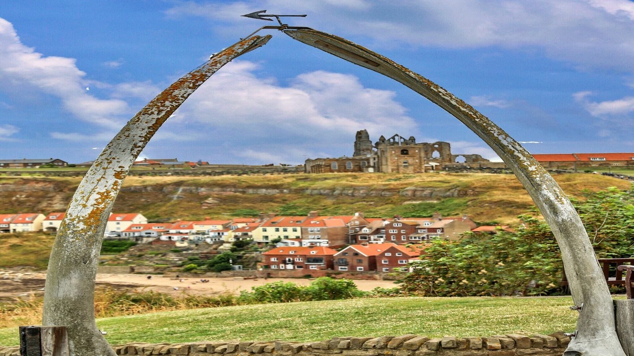Photo of Others in West Cliff