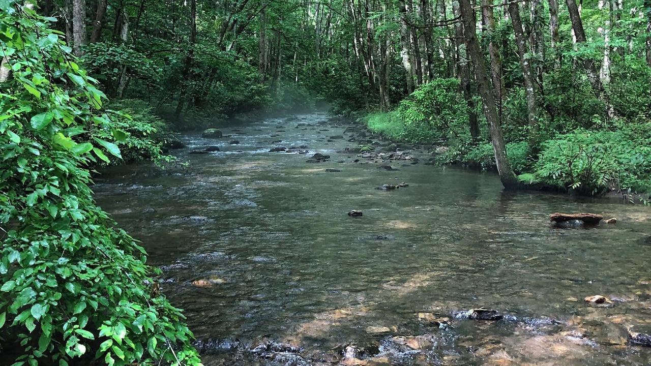 Photo of Outdoor in Fletcher