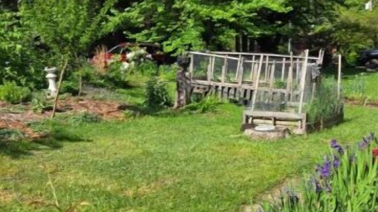 Photo of Outdoor in Asheville