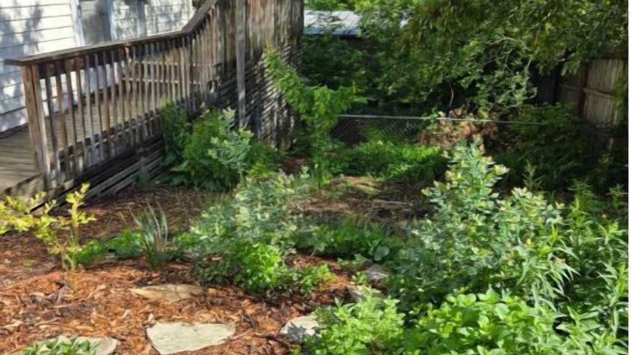 Photo of Outdoor in Asheville