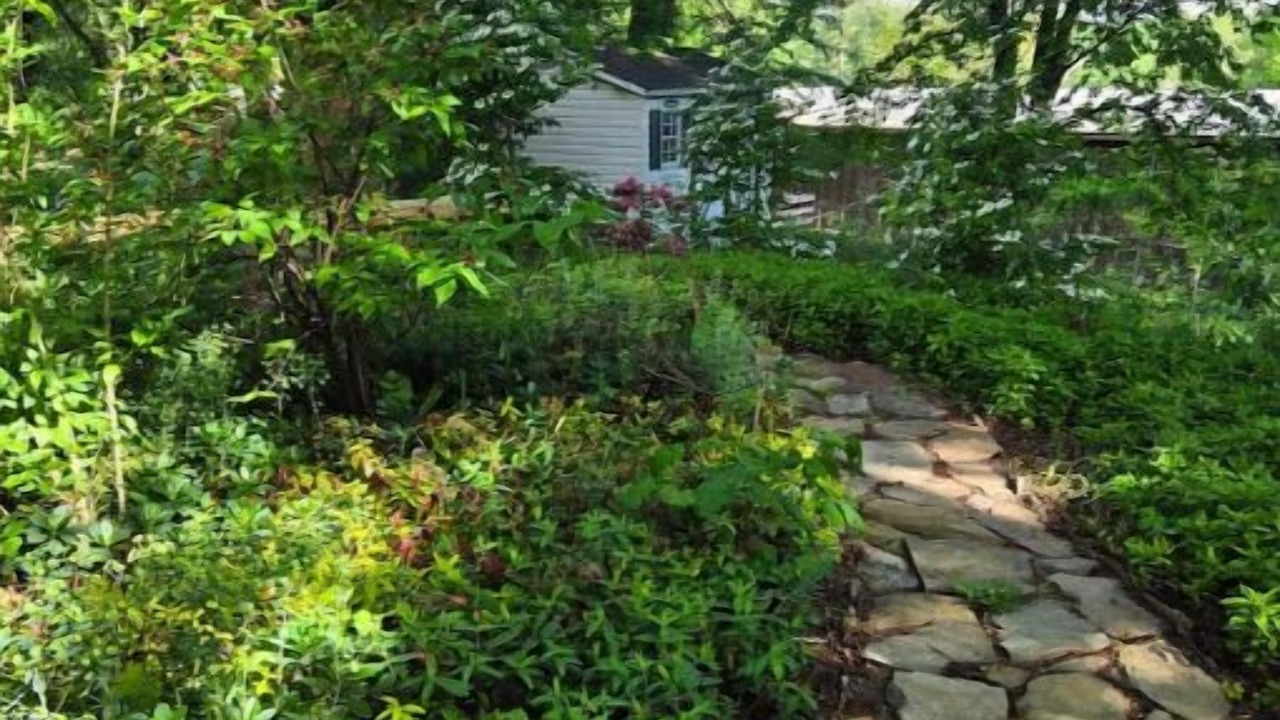 Photo of Outdoor in Asheville