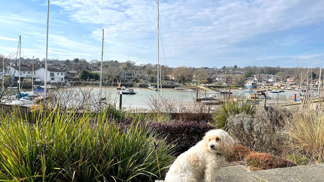 Photo of Outdoor in Ryde