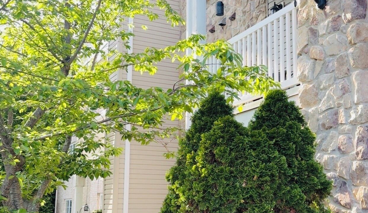 Photo of Outdoor in Greensboro