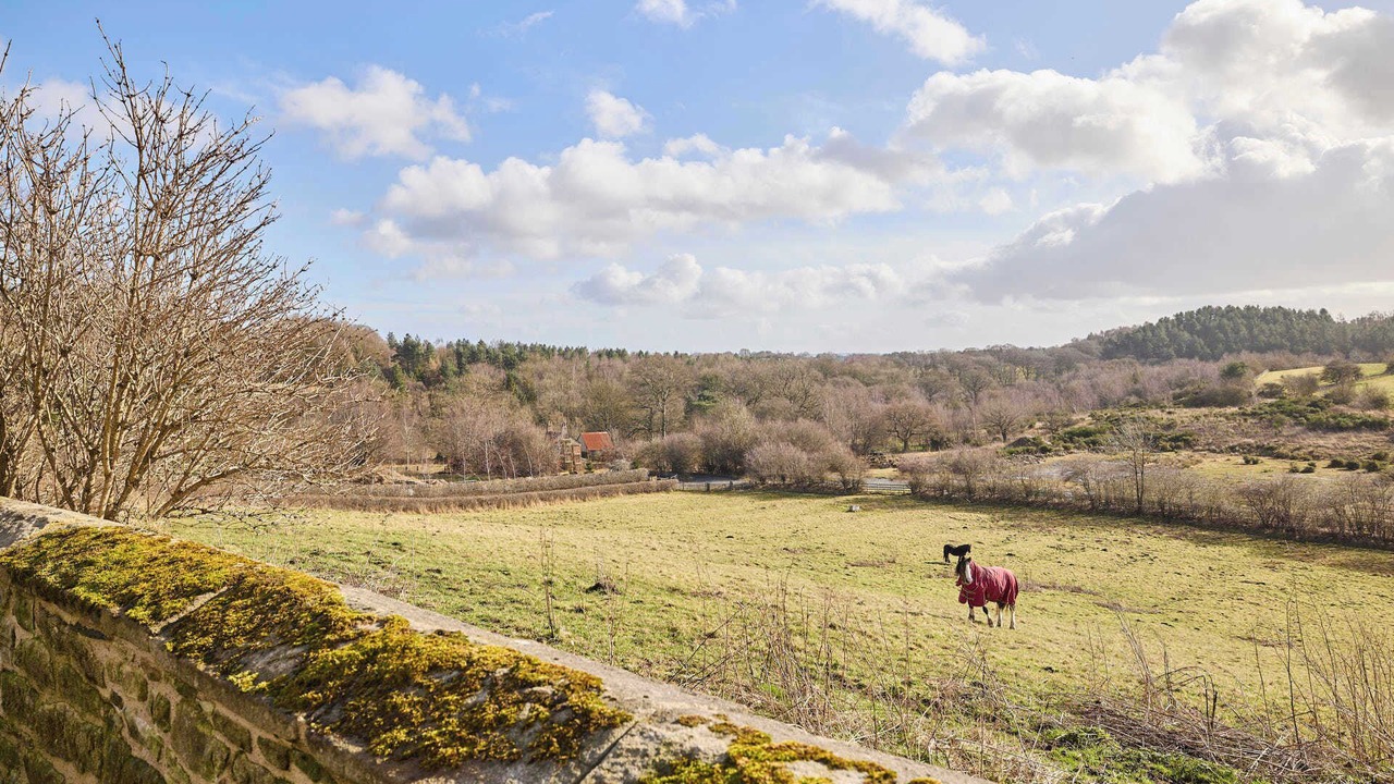 Photo of Others in Beamish