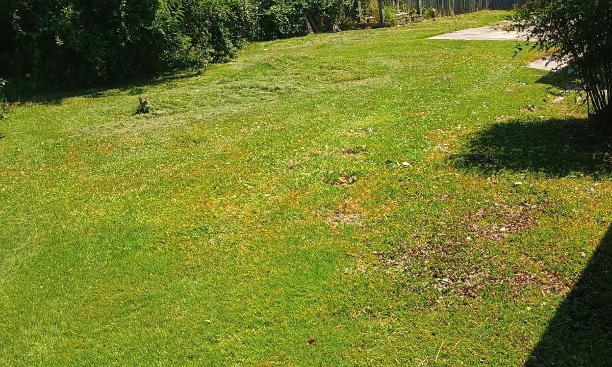 Photo of Outdoor in Piney Green