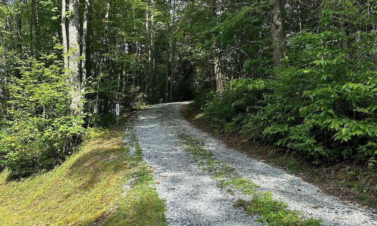Photo of Others in Cullowhee