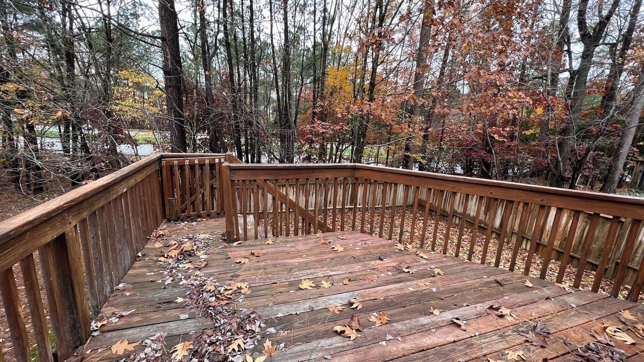 Photo of Outdoor in Evergreen