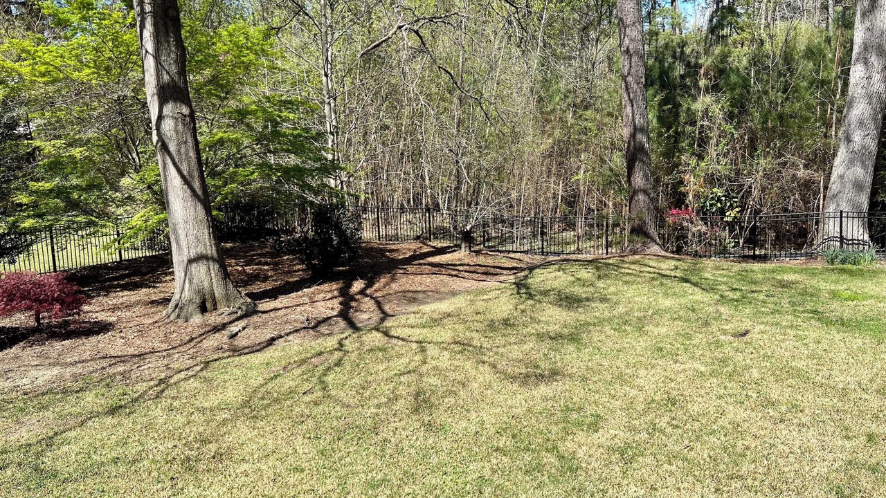 Photo of Others in Cary