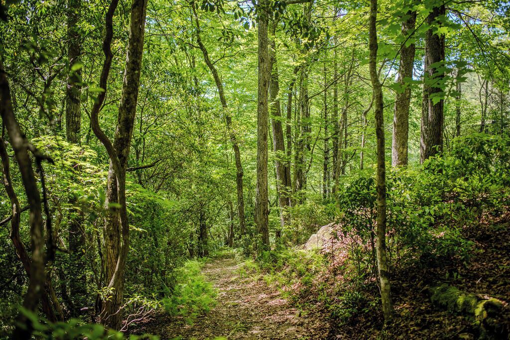 Photo of Outdoor in Cedar Mountain