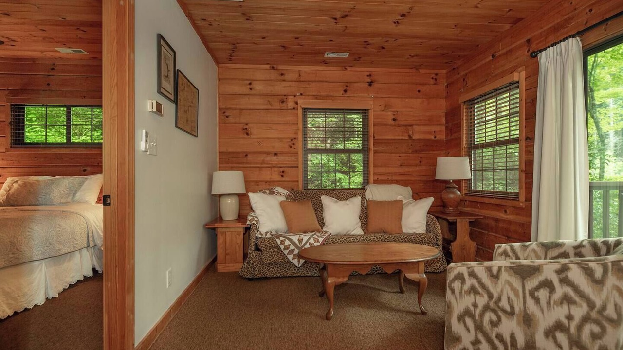 Photo of Livingroom in Cedar Mountain
