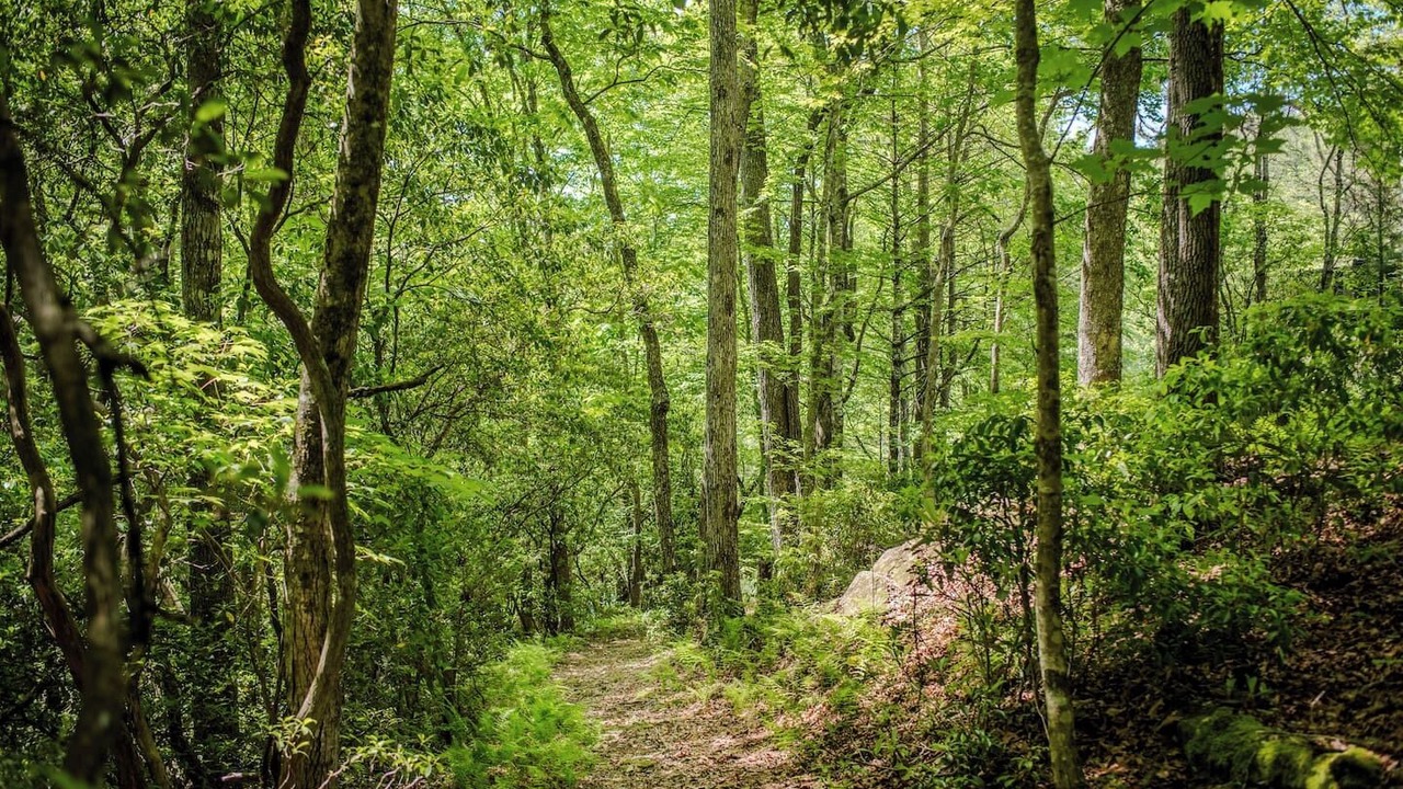 Photo of Outdoor in Cedar Mountain