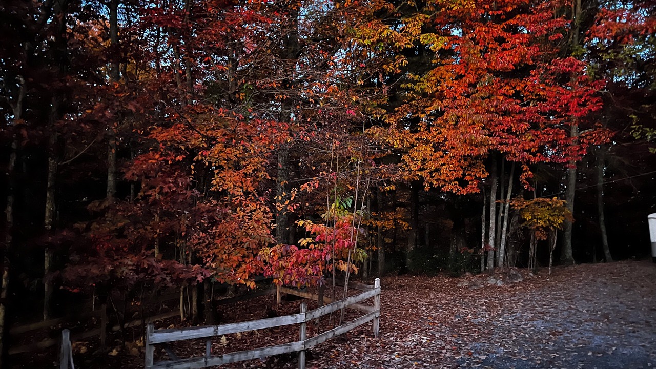 Photo of Outdoor in Brevard