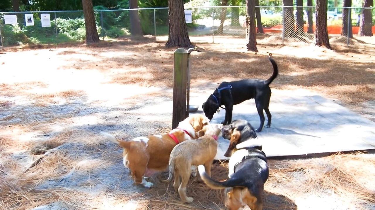 Photo of Others in Wilmington