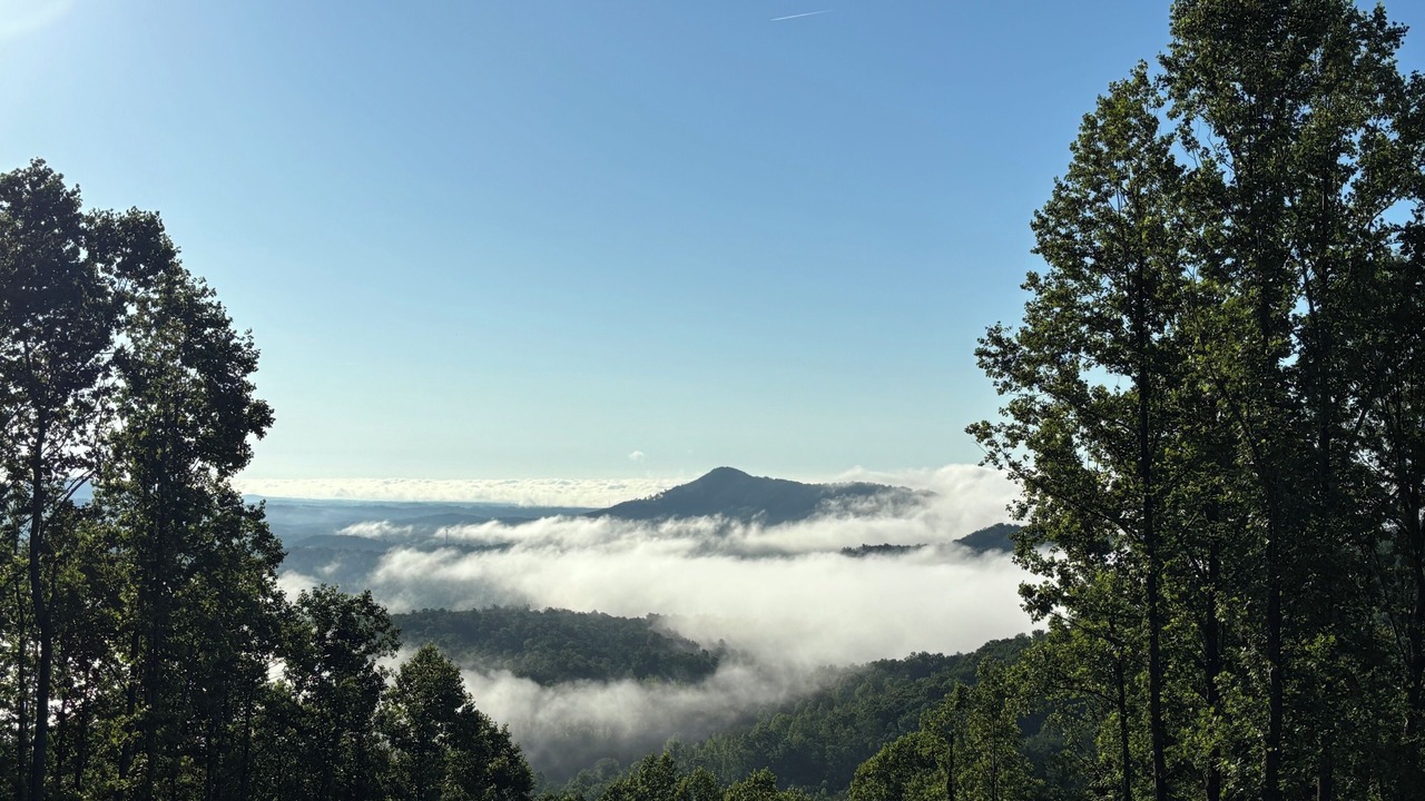 Photo of Others in Bostic