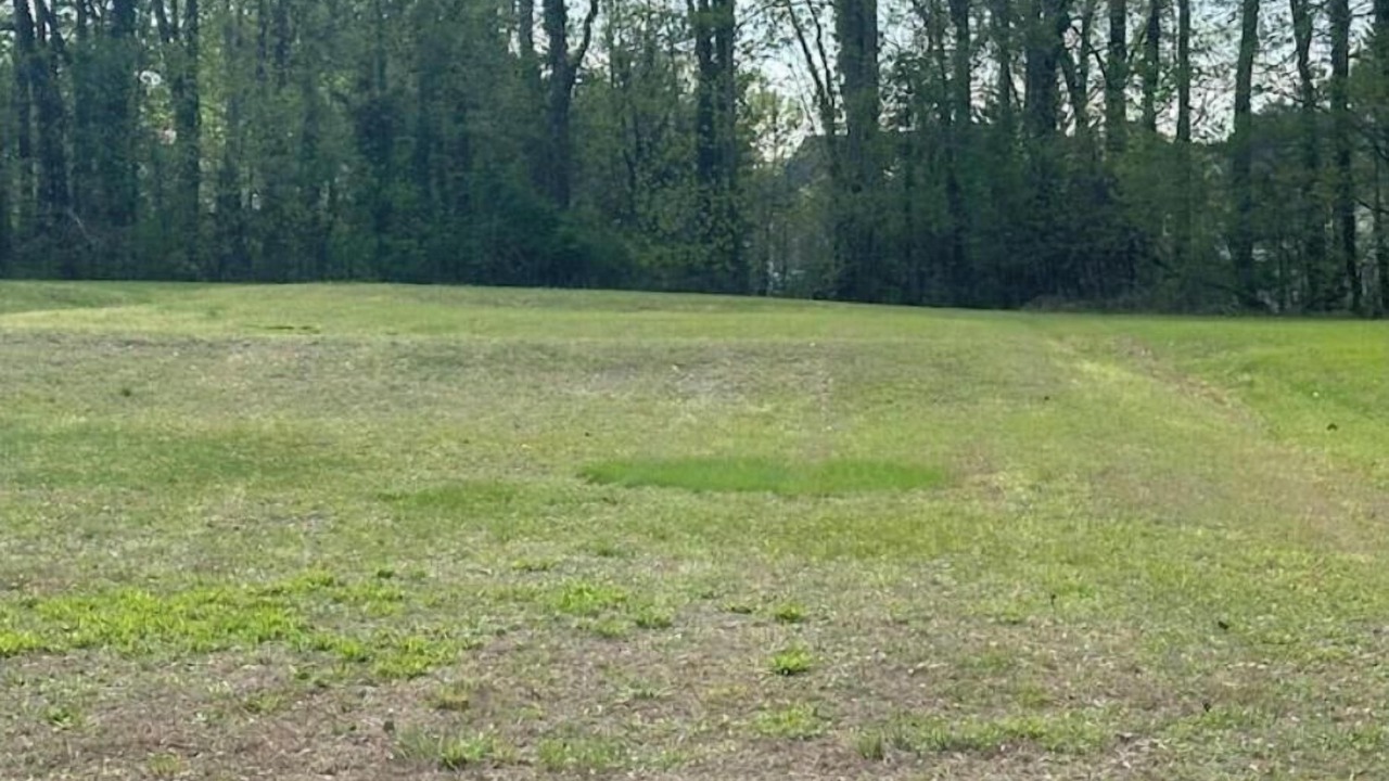 Photo of Others in Winston - Salem