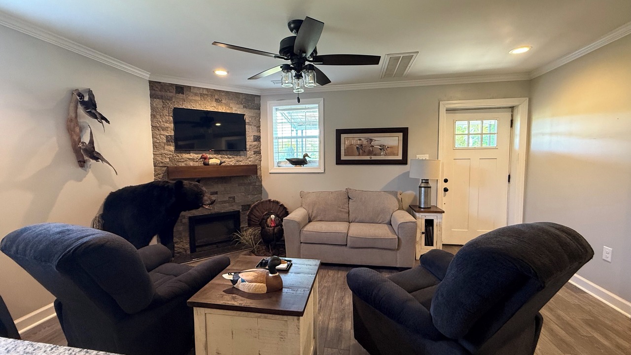 Photo of Livingroom in Deep Run