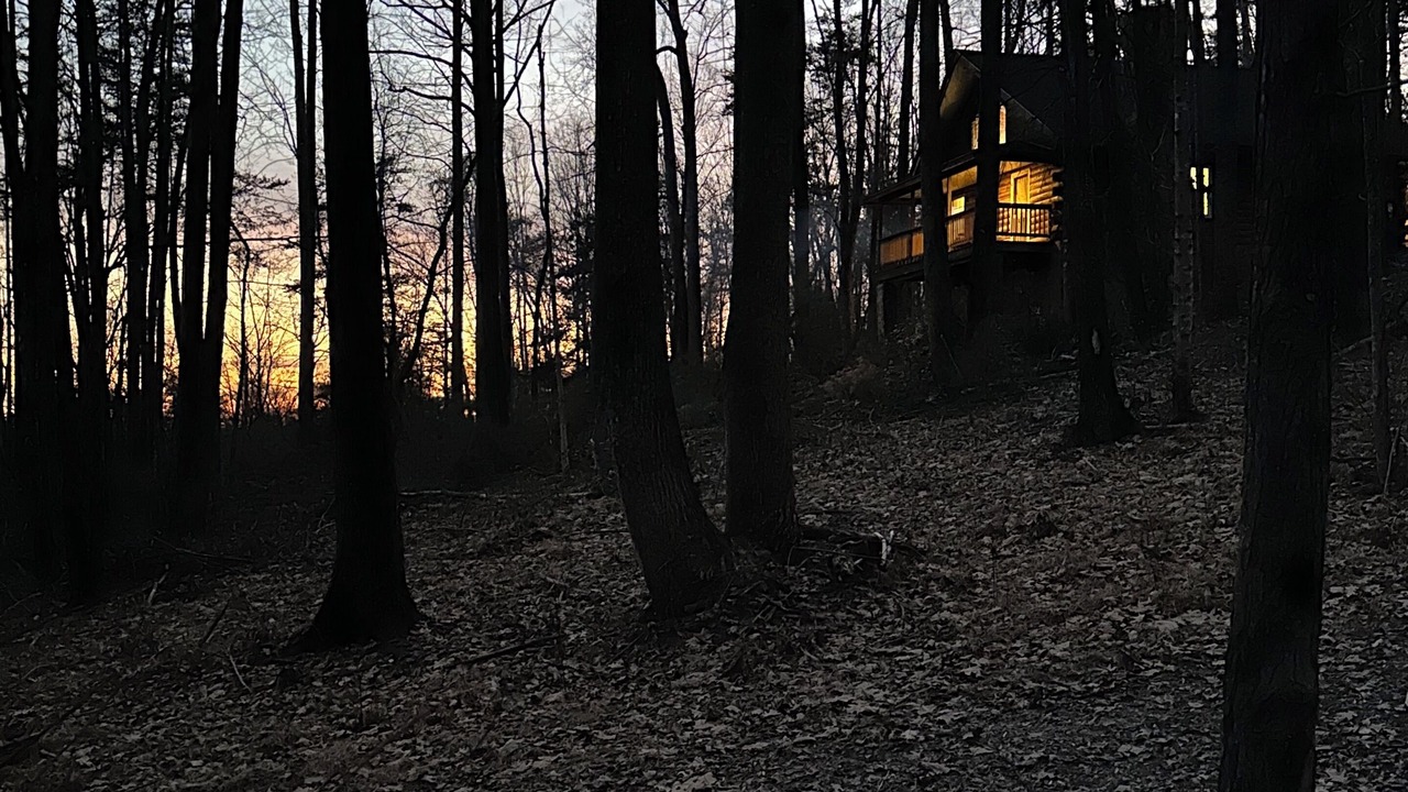 Photo of Others in Traphill