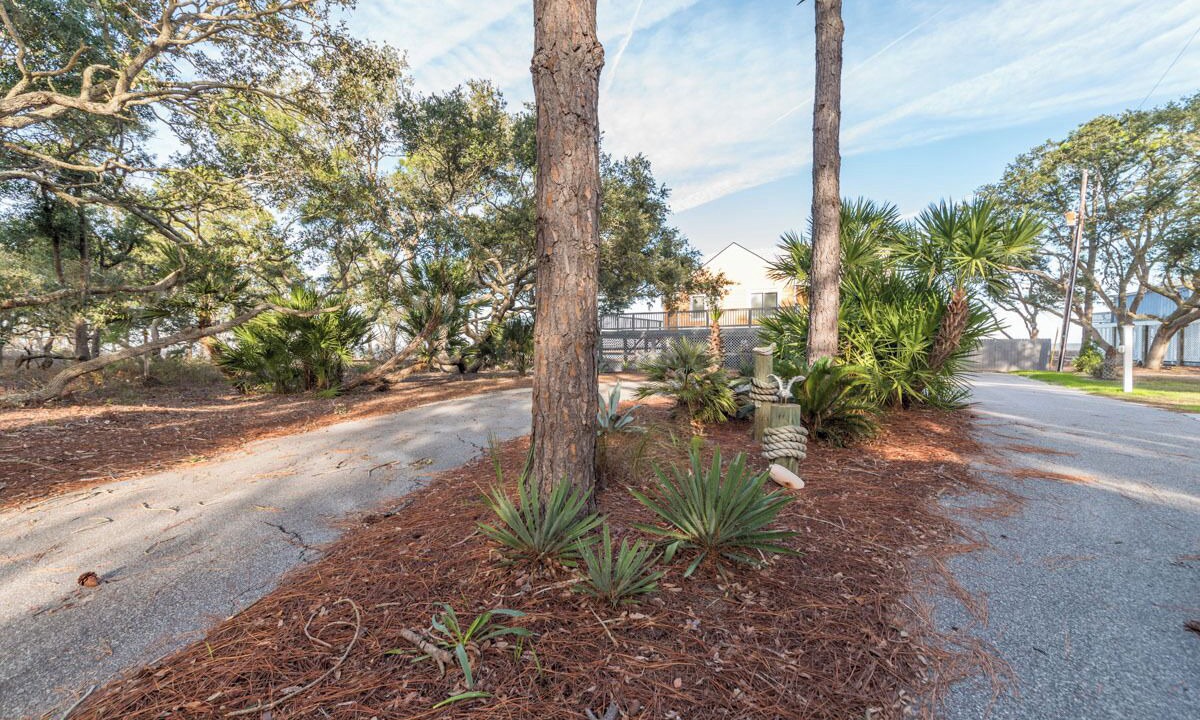 Photo of Outdoor in Saint Helena Island