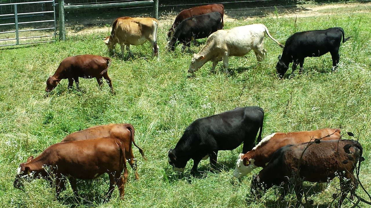Photo of Others in Bynum