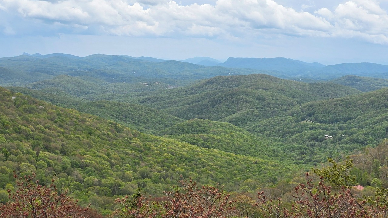 Photo of Others in Sugar Mountain