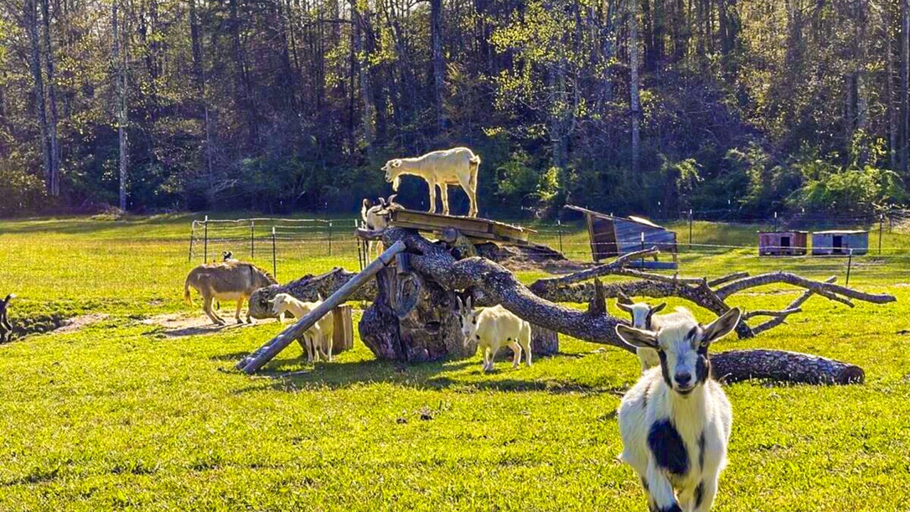 Photo of Others in Hendersonville