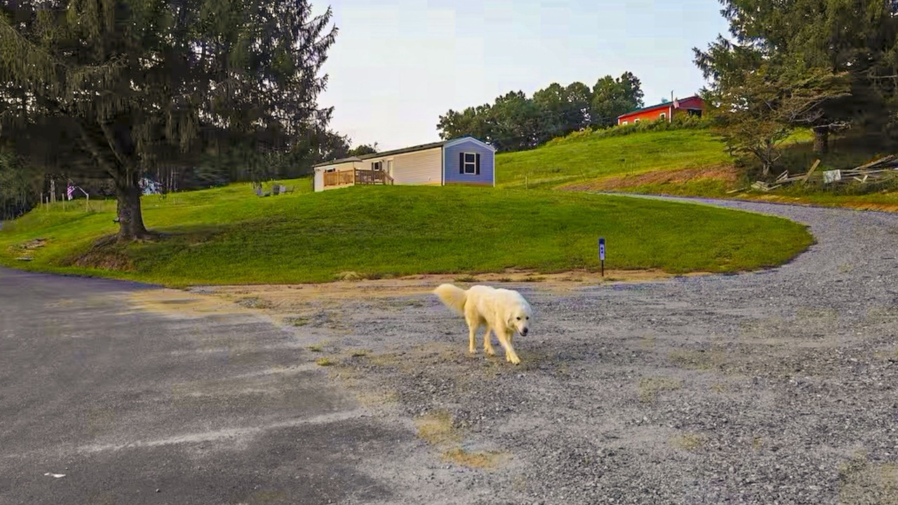 Photo of Outdoor in Hendersonville