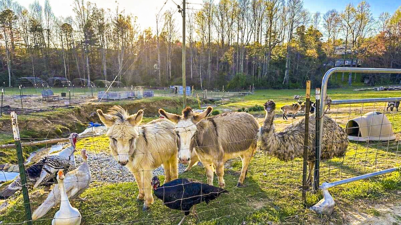 Photo of Others in Hendersonville
