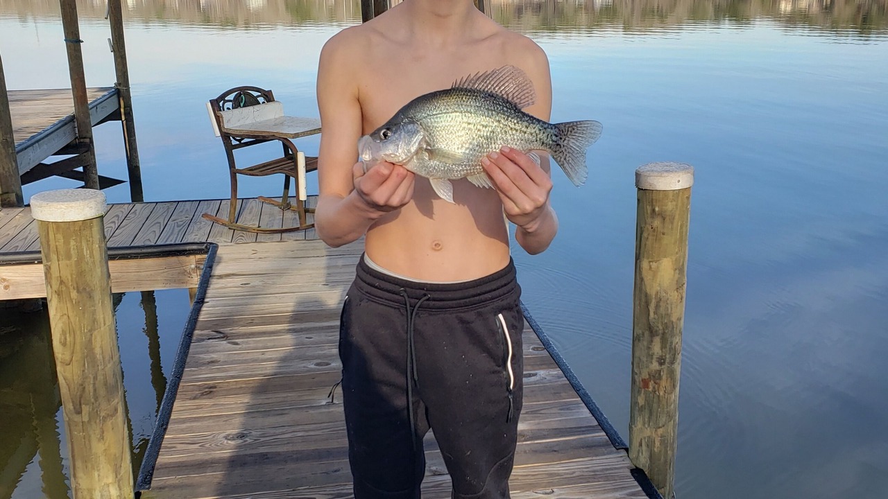 Photo of Others in Logan Martin Lake Estates