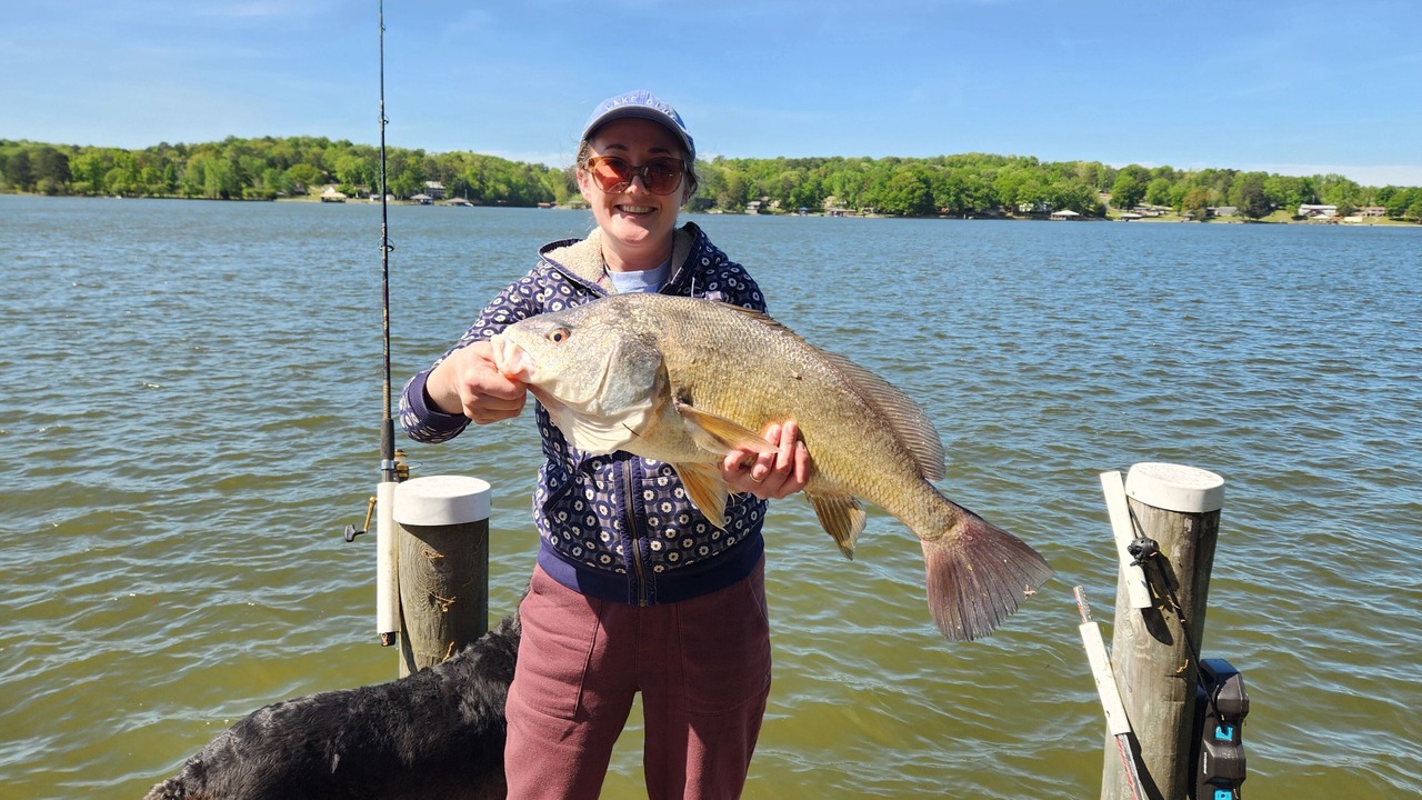 Photo of Others in Logan Martin Lake Estates