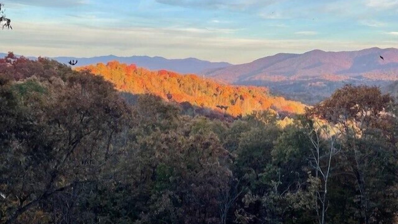 Photo of Others in Bryson City