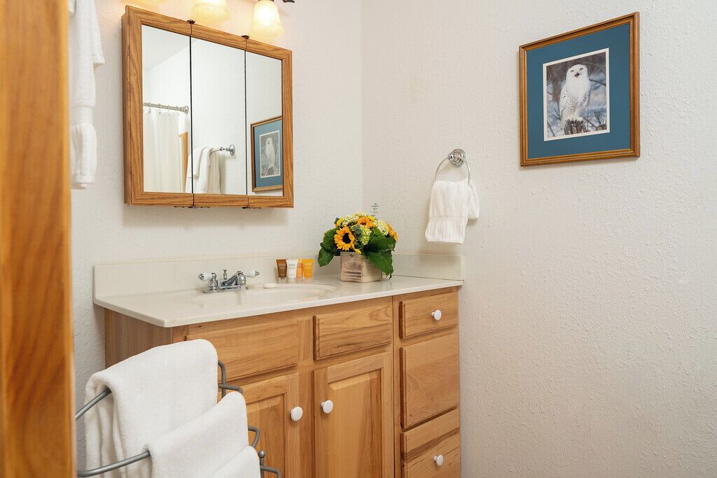Photo of Bathroom in Candler