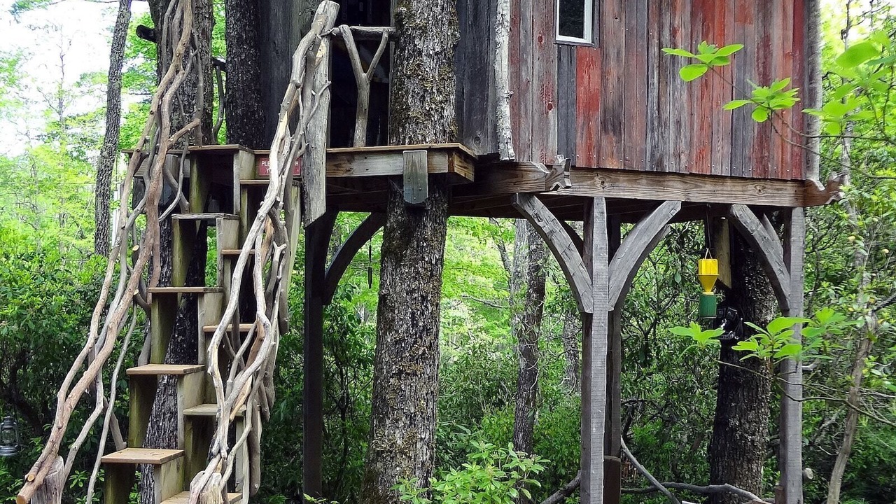 Photo of Outdoor in Lake Toxaway