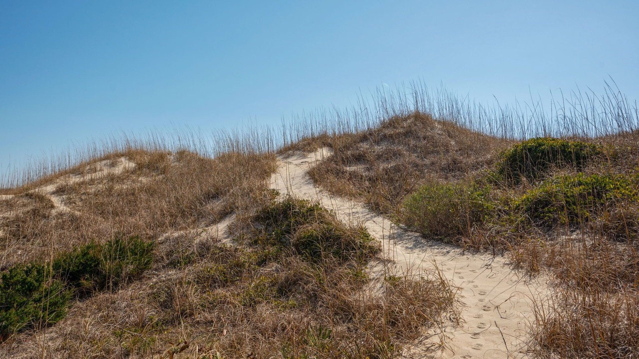 Photo of Others in Hatteras Island