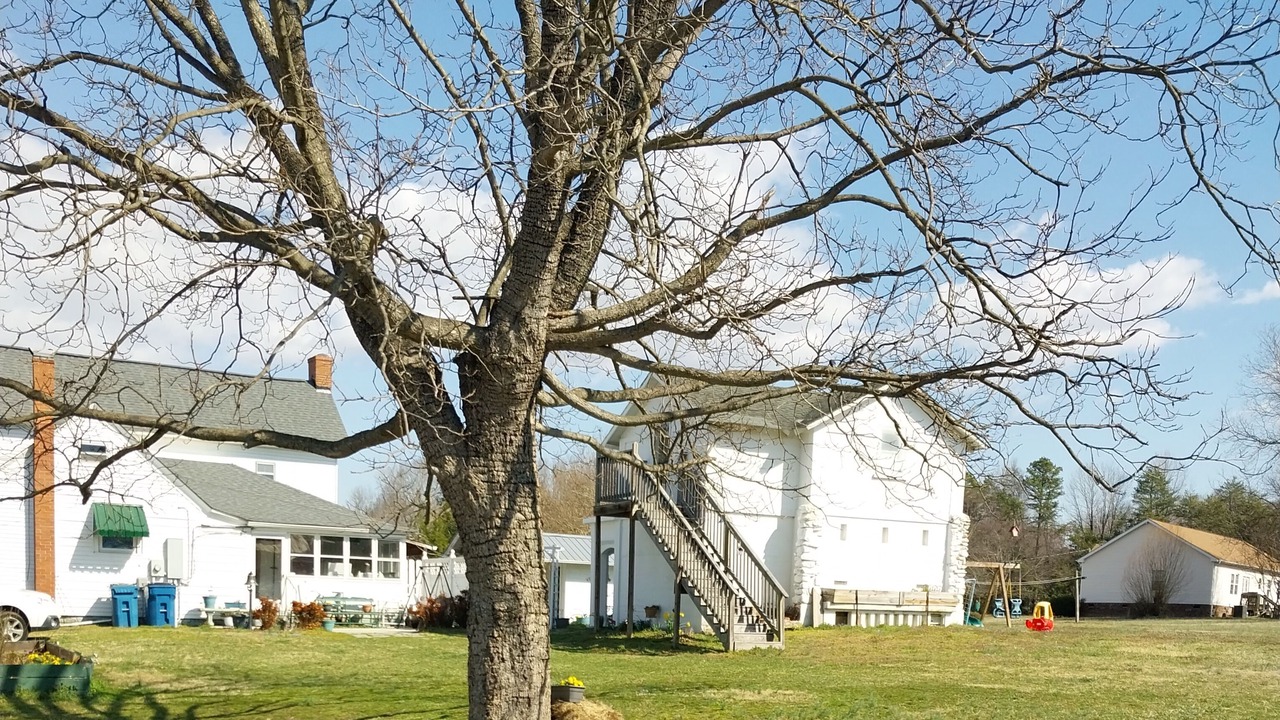 Photo of Outdoor in McLeansville