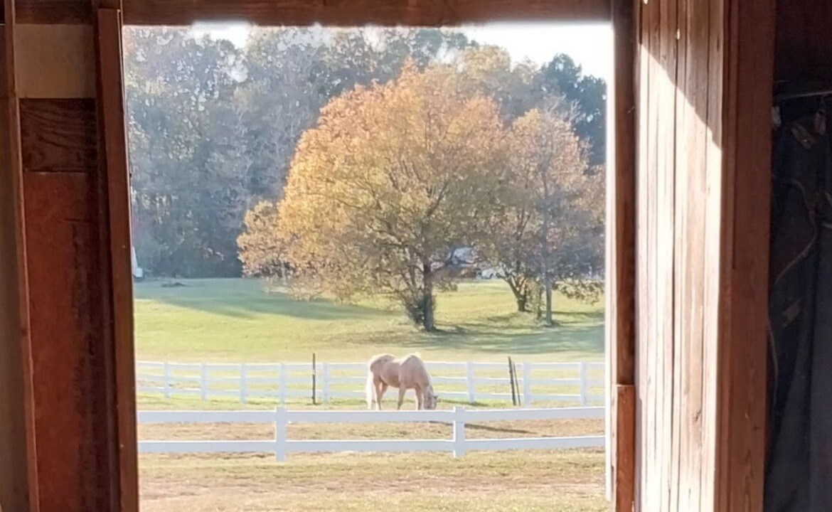 Photo of Others in McLeansville