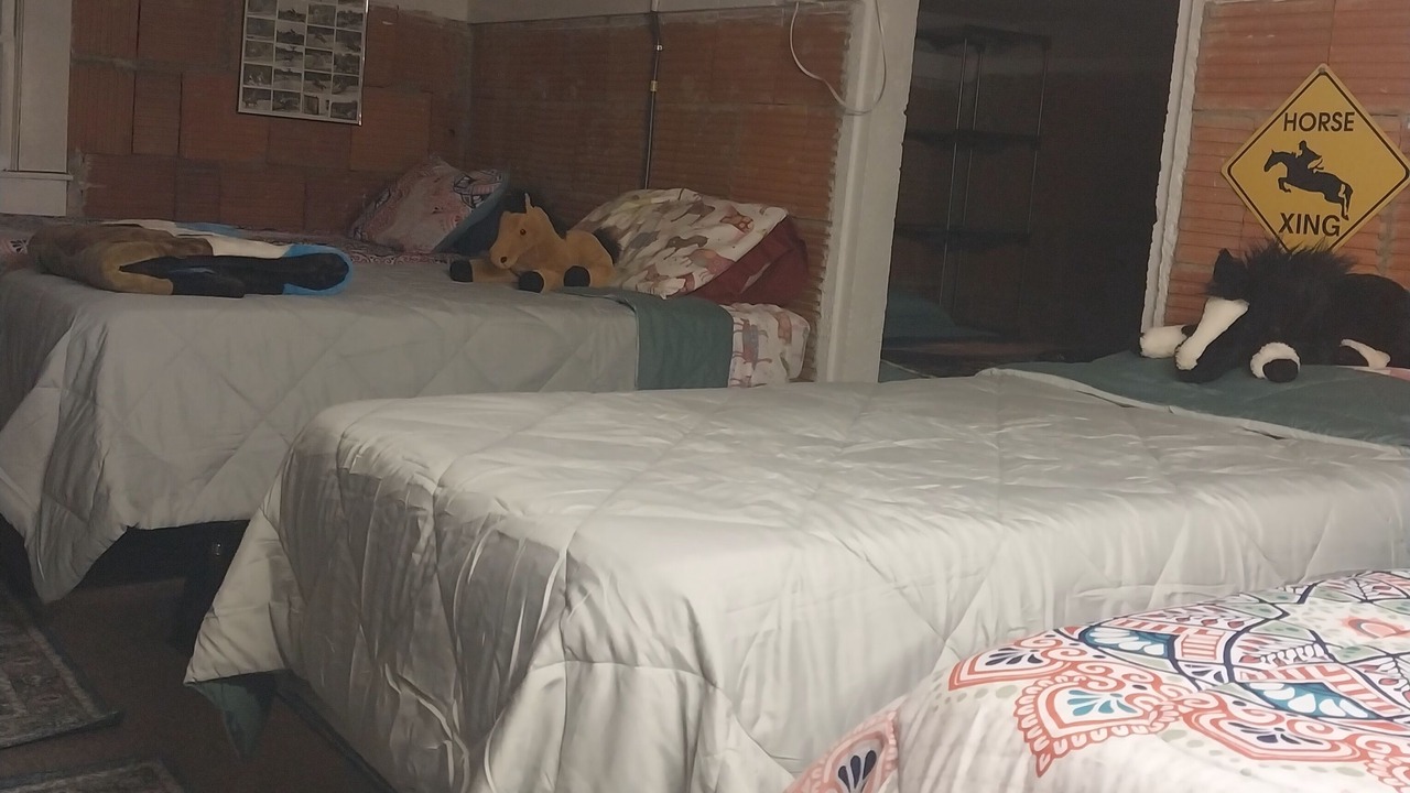 Photo of Bedroom in McLeansville