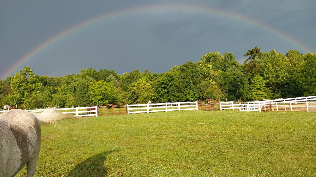 Photo of Others in McLeansville