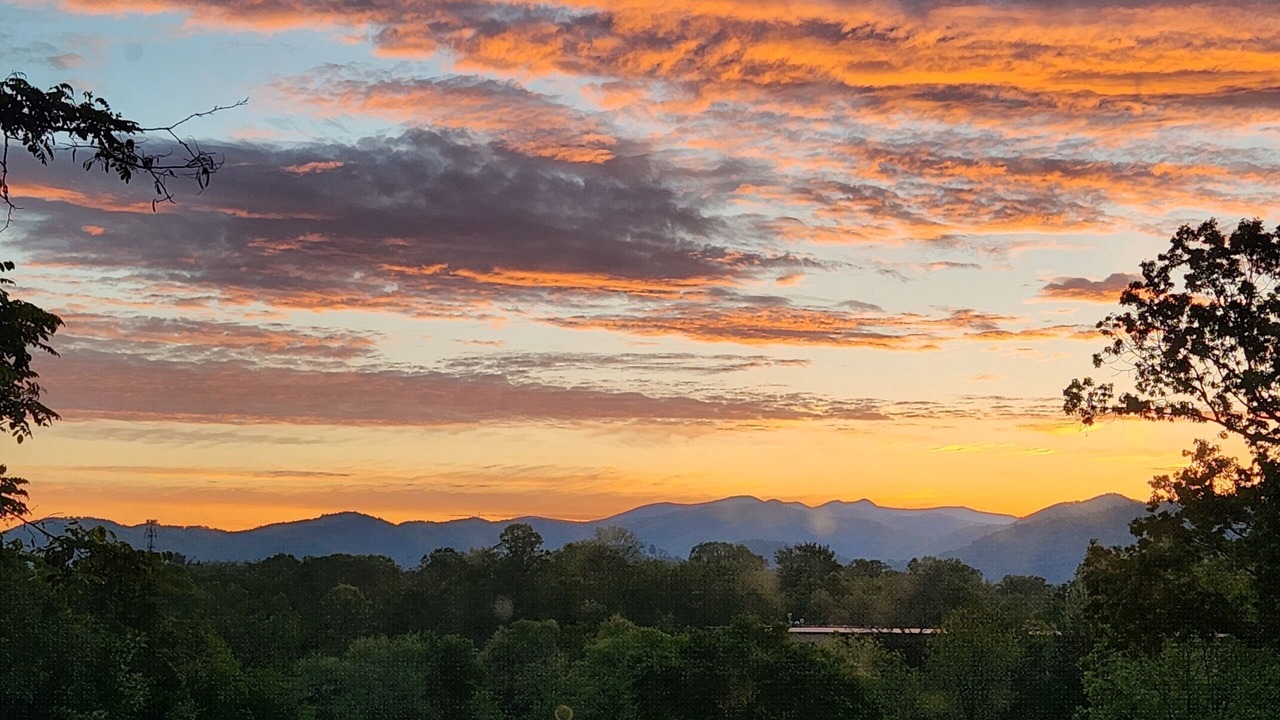 Photo of Others in Asheville