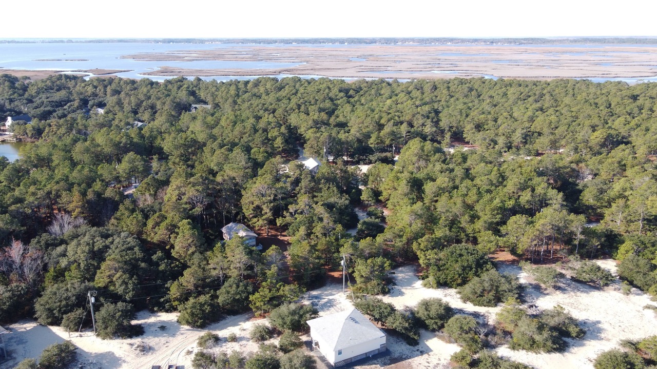 Photo of Outdoor in Carova Beach