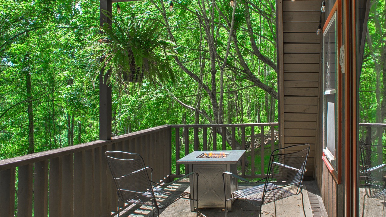 Photo of Patio Balcony in Burnsville