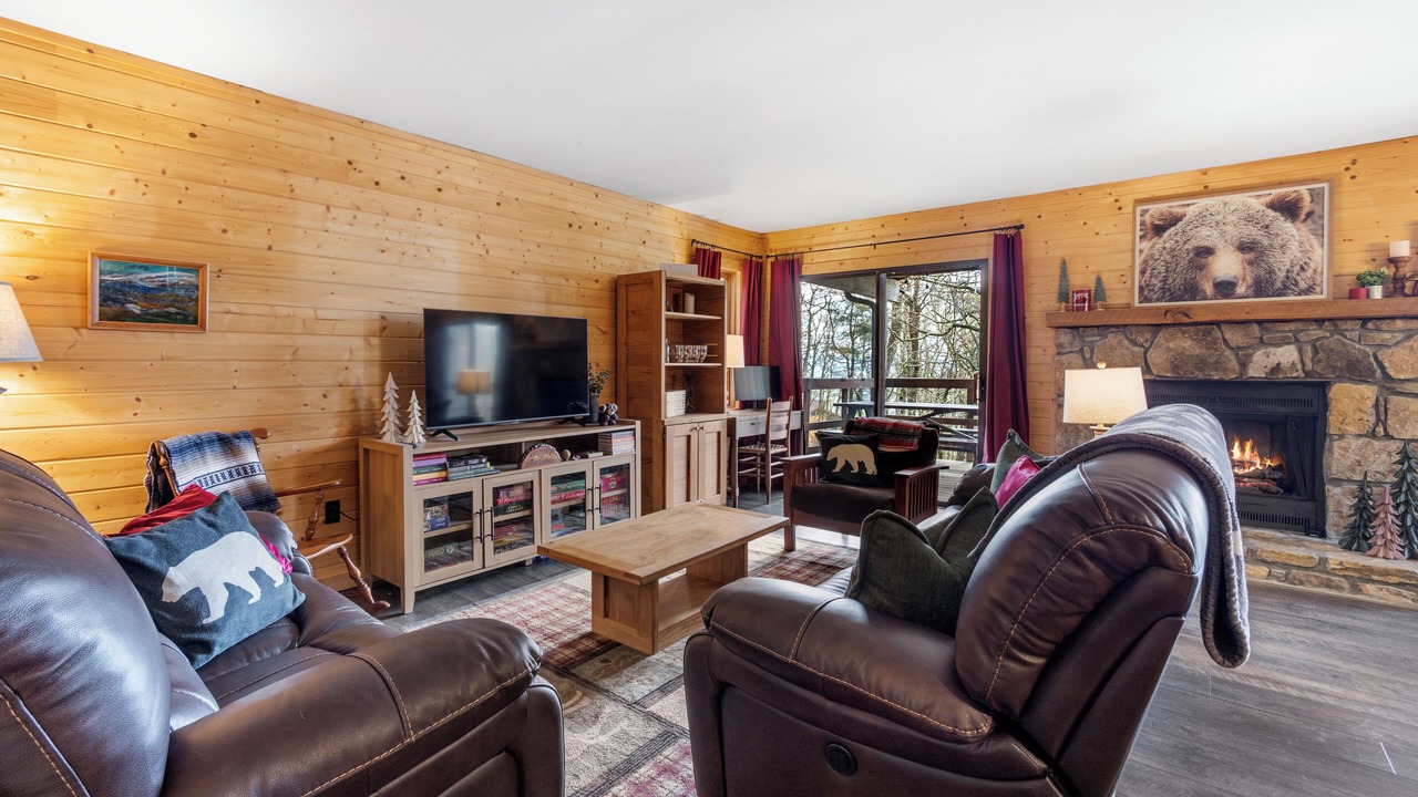 Photo of Livingroom in Wolf Laurel