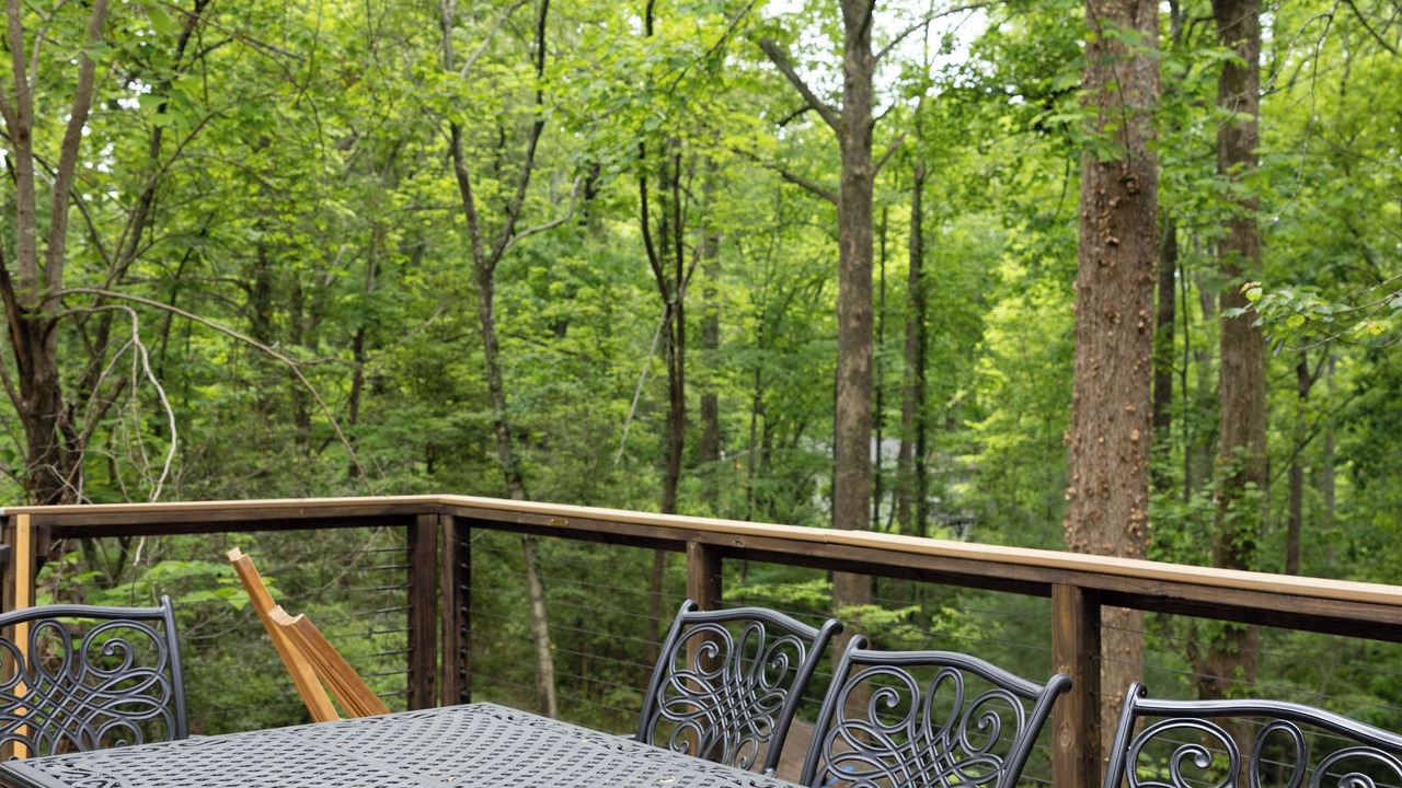 Photo of Outdoor in Hendersonville